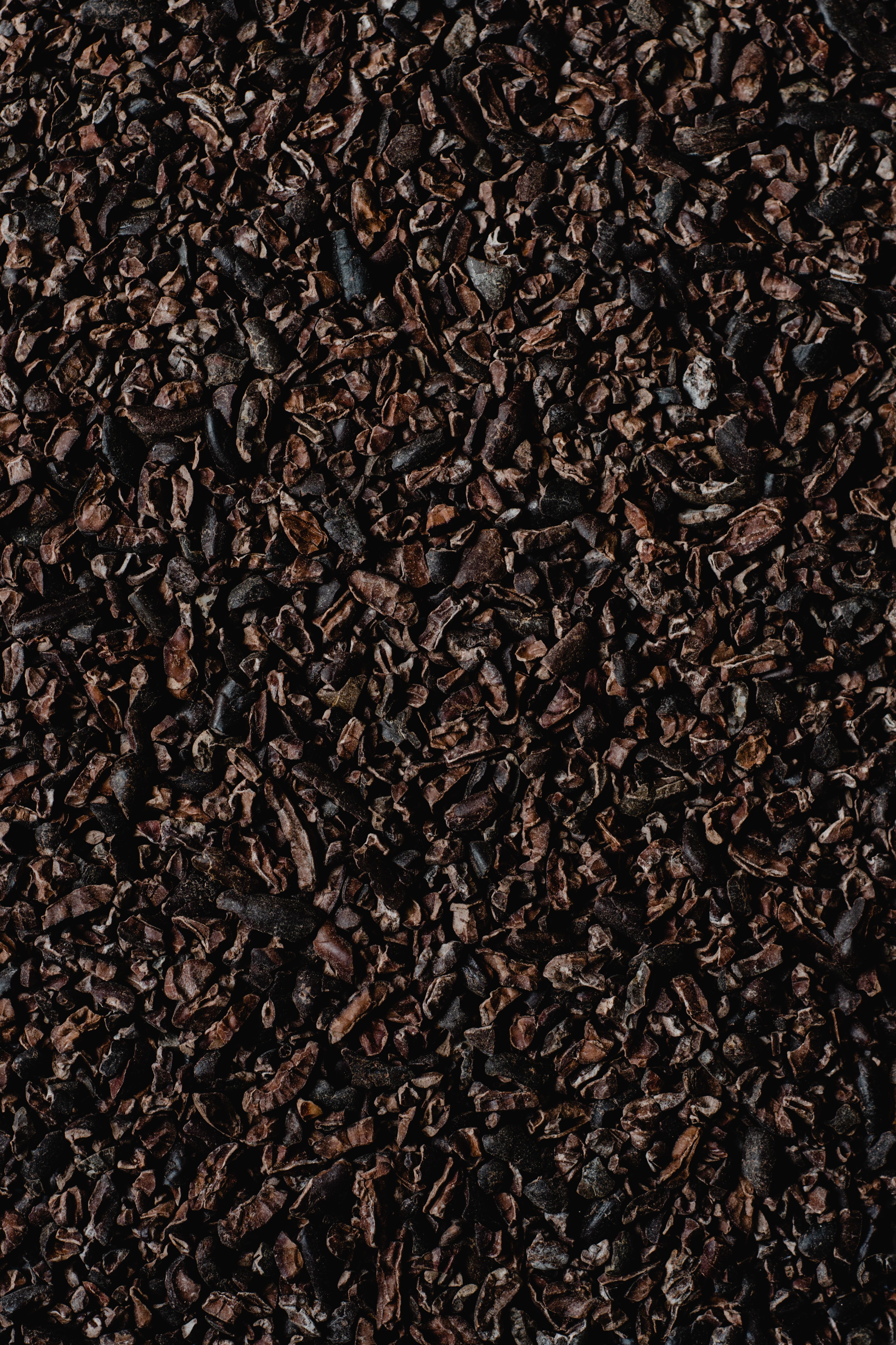 Premium Cocoa